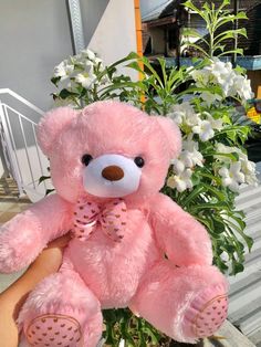 a pink teddy bear sitting on top of a plant