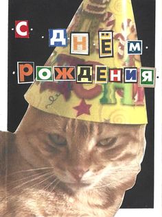 a cat wearing a birthday hat with letters on it