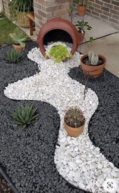 an outdoor area with plants and rocks on the ground