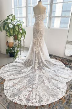 the back of a wedding dress on display in a room with a potted plant