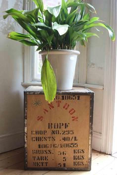 a potted plant sitting on top of a wooden box