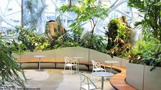 several tables and chairs are in the middle of an indoor garden with plants growing on the walls