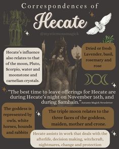 a poster with some information about the different types of witches and their attributes in it