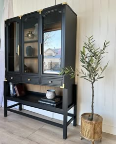 a black china cabinet sitting next to a potted plant