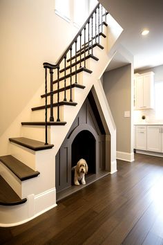 Fluffy dog peeking out from a chic dog room designed under wooden stairs. Dog Area Inside House, How To Build A Dog House Under Stairs, Dog Space In House, Custom Dog Room, Under The Stairs Pet Area, Dog Room In Closet, Understairs Dog Room, Dog Room In House, Dog Nook Under Stairs