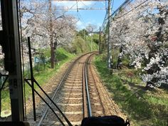 the view from inside a train looking down at railroad tracks and cherry trees in bloom