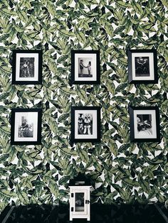 the wall is covered with green leaves and black and white photos, which are hanging on it's sides