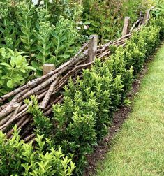 a fence made out of branches in the middle of some grass and bushes next to it