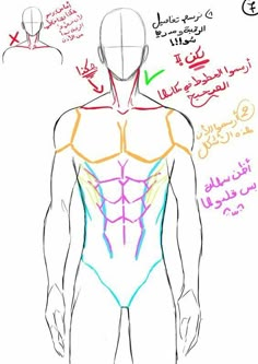 the back view of a man's body with different lines and colors on it