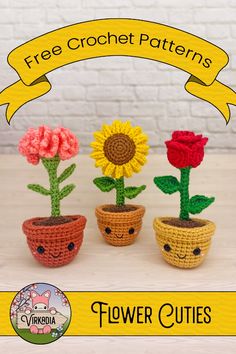 three crocheted flower pots with flowers in them and the words free crochet patterns