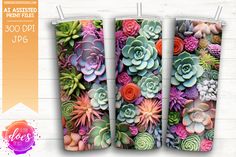 three different colored succulents hanging on clothes pins