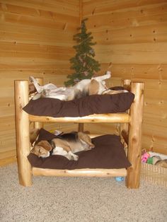 two dogs sleeping on top of bunk beds in a log cabin with a christmas tree