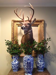 a deer head mounted on the wall next to two vases with plants in them