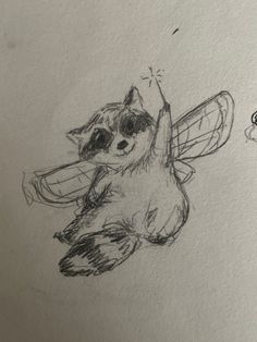 a drawing of a raccoon with a butterfly on its back