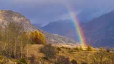 There’s something captivating about rainbow pictures that emerge after a storm. These photos capture the weather phenomena that make the sky come alive. Save this pin for your next burst of photography inspiration! Caught On Camera, Wood Bridge