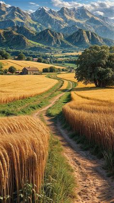 Fields And Mountains, Farmland Aesthetic, Farmland Landscape, Golden Wheat Field, Field Of Wheat, Plains Landscape, Mountain Path, Golden Field, Farm Fields