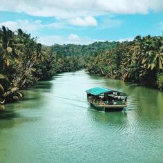 a boat traveling down a river surrounded by palm trees