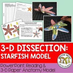 This 3-D starfish or seastar dissection anatomy model can be used as a dissection-free starfish exploration, a pre-dissection study tool, or even as a summative assessment for comparative anatomy. Students will be able to identify and explain the structure and function of the internal and external anatomy of the starfish. Eco School, Esl Ideas, Marine Science