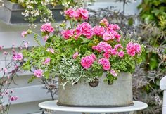 some pink flowers are in a pot on a table