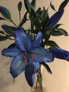 a blue flower in a clear vase on a table