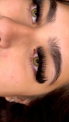 Mega Volume Cat Eye Lash Extensions, Eyelash Extensions Mega Volume, Eye Lash Style, Mega Volume Lashes, Best Lash Extensions, Eye Makeup Images, Lashes Fake Eyelashes, Lash Styles, Eyelash Technician