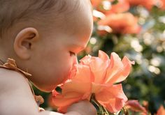 The Importance of Smell for Development Behavioral Neuroscience, Planning Pregnancy, Pinterest Photography, Enrichment Activities, Healthy Brain, Baby Development, Live Simply, Skin Food, Spiritual Guidance