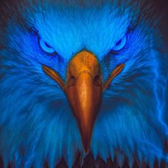 a blue bird with an orange beak and yellow eyes is shown in this artistic photograph