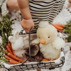 a person holding a basket with stuffed animals in it and carrots on the ground