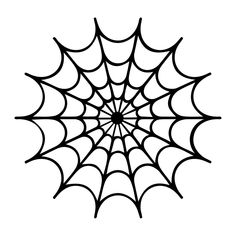 a spider web on a white background