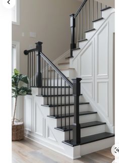 the stairs in this house are black and white