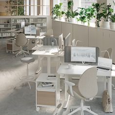 an office filled with desks and chairs next to plant pots on the windowsill