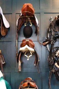 several different types of saddles hanging on the wall