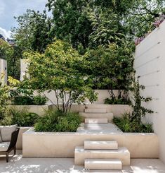 an outdoor garden with steps leading up to trees