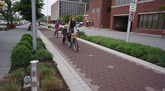 two people riding bikes down a sidewalk next to grass and bushes on either side of the street