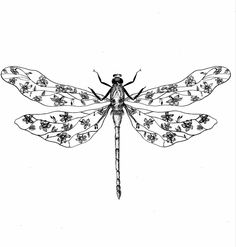 a black and white drawing of a dragonfly