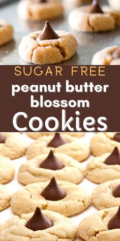 sugar free peanut butter blossom cookies on a baking sheet with text overlay that reads, sugar free peanut butter blossom cookies