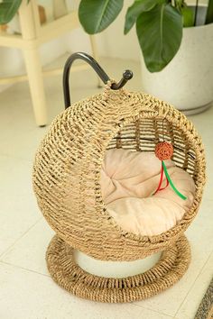 a wicker hanging chair with a cushion on the floor next to a potted plant