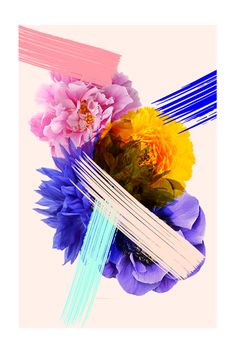 flowers are arranged on top of each other in an artistic composition with lines and colors