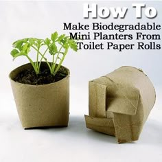 an elephant shaped planter next to a toilet paper roll with plants growing out of it