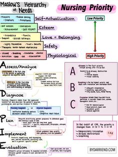 a diagram with the words nursing priority on it