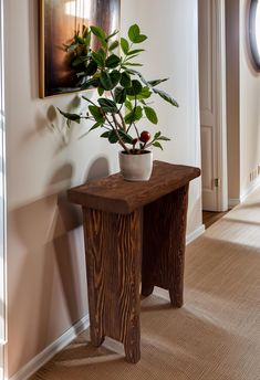 a potted plant sitting on top of a wooden table in front of a doorway