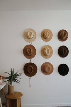 several hats are hanging on the wall near a potted plant