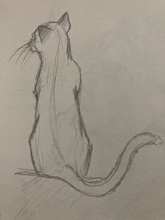 a pencil drawing of a cat sitting down