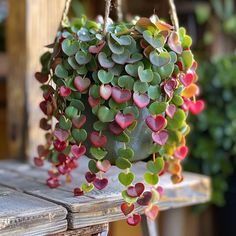 a potted plant with hearts hanging from it's sides on a wooden table