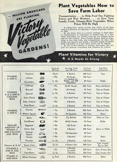 an old advertisement for vegetable plants from the 1950's, with information about plant vegetables