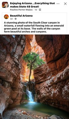 an image of a waterfall in the middle of a canyon with a tree growing out of it