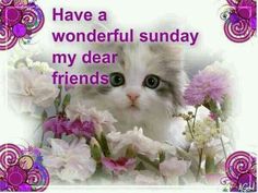 a card with a cat surrounded by flowers and the words have a wonderful sunday my dear friends