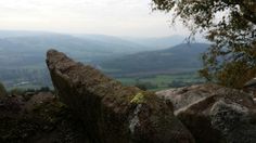 a rock with moss growing on it in the mountains