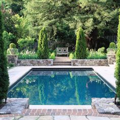 an outdoor swimming pool surrounded by trees and shrubbery with a bench in the distance