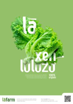 lettuce is displayed on a green background with the word lafarm below it